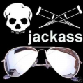 Pornobrille / Pilotenbrille im Jackass Aviator Style